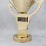 Кубок сувенирный для боксеров