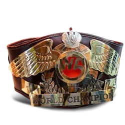 Пояс чемпиона